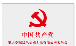 中共四會市東城街道工作委員會黨工委到訪我公